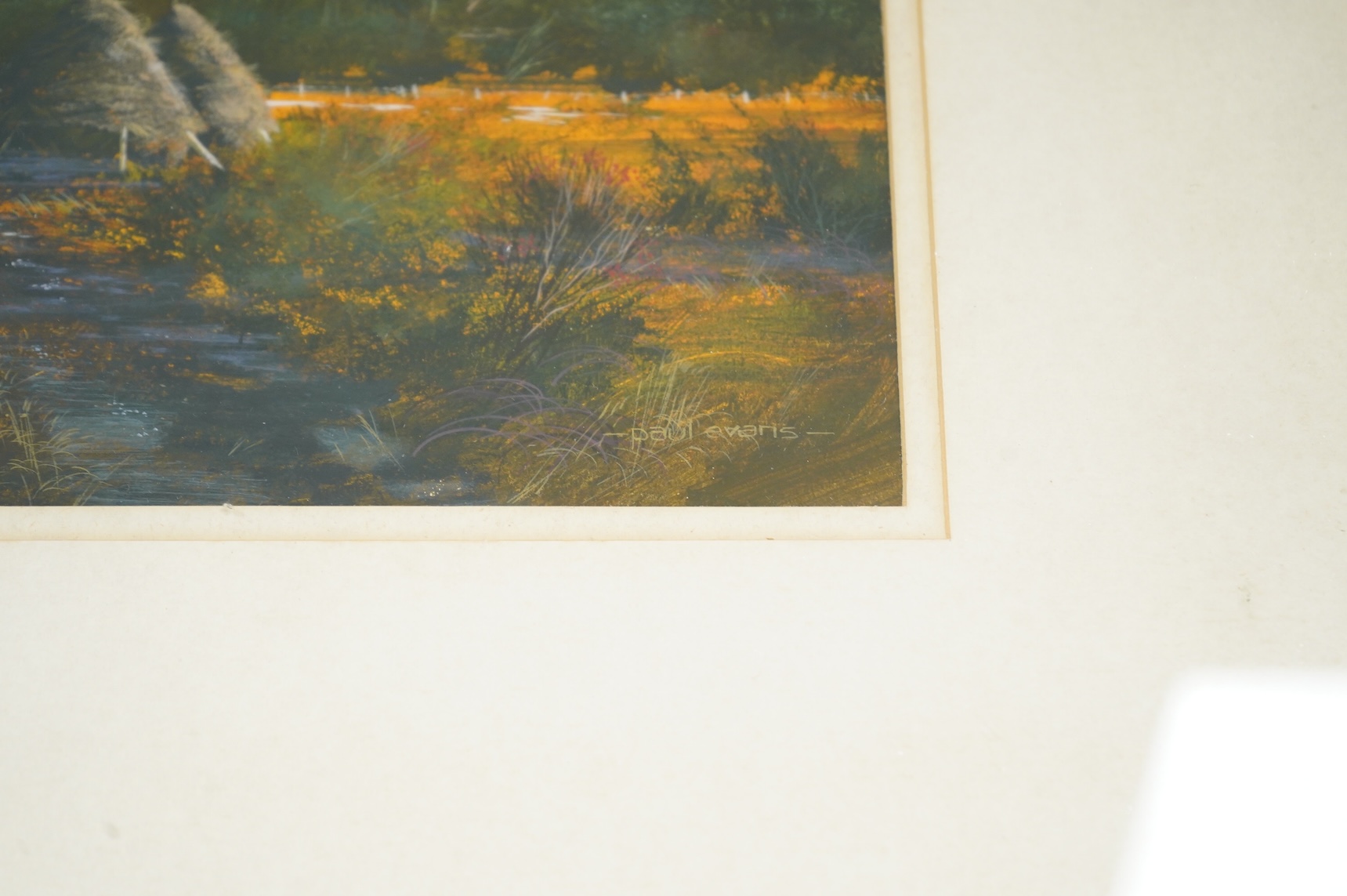 Paul Evans (b.1950), ‘Evening Magic’, signed, Chichester House Gallery inscribed label verso, gouache, 32 x 46cm